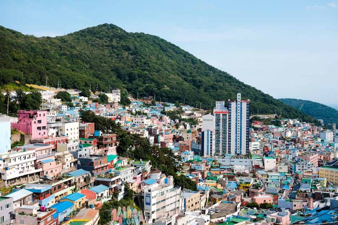 AI주식투자 참고 이미지 2